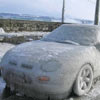 Lago di Ginevra, Inverno 2005